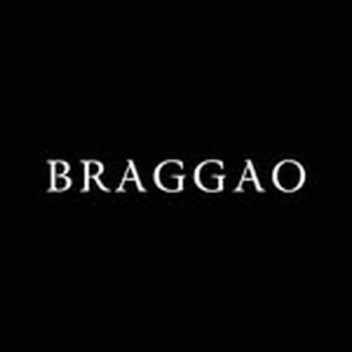 @braggaomx profile image