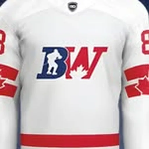 @brandonwonghockey profile image