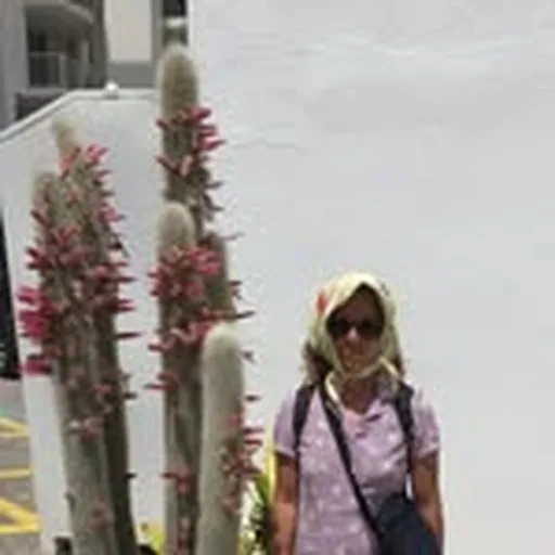 @breslauers profile image