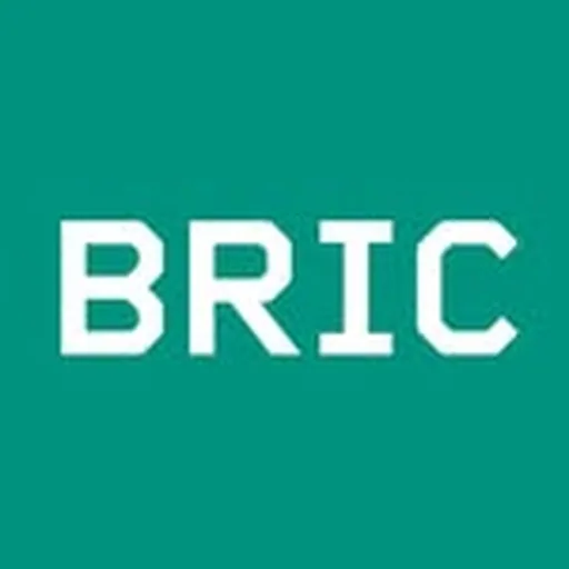 @bricbrooklyn profile image