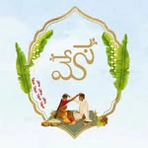 @bridesoftelugu profile image