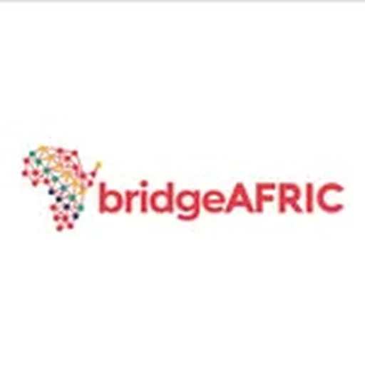 @bridgeafriq profile image