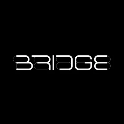 @bridgeartagency profile image