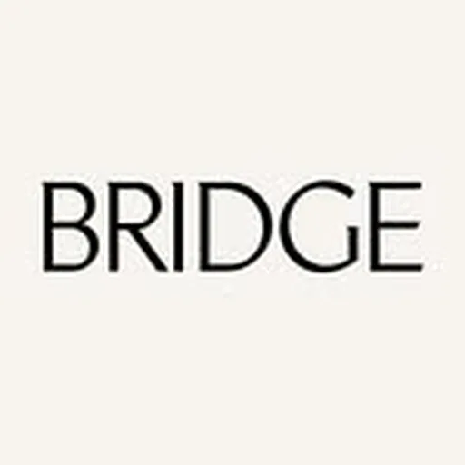 @bridgeartists profile image