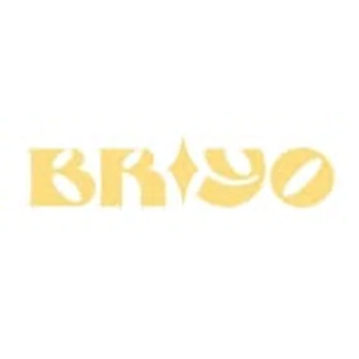 @briyo.mx profile image