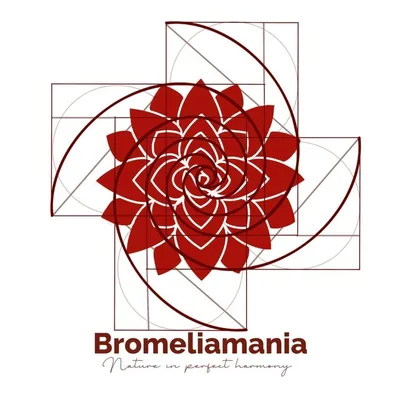 @bromeliamania_ profile image