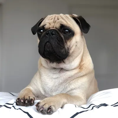 @bronsonandbanks profile image