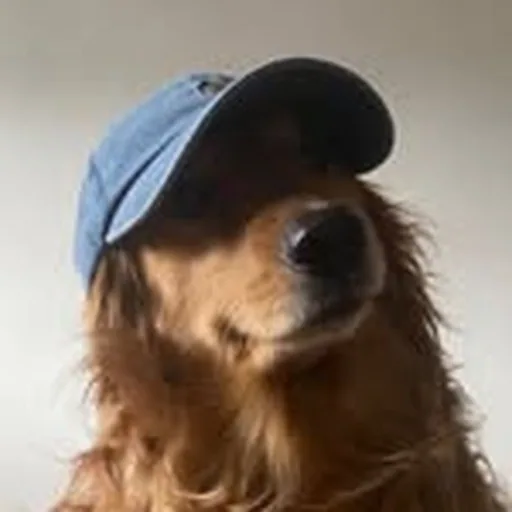 @brosaleigh profile image