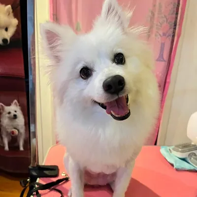 @bruce.zui998 profile image