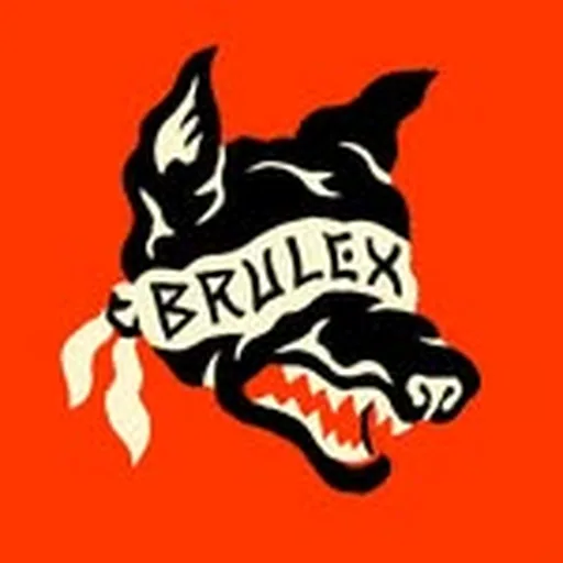 @brulex.fr profile image