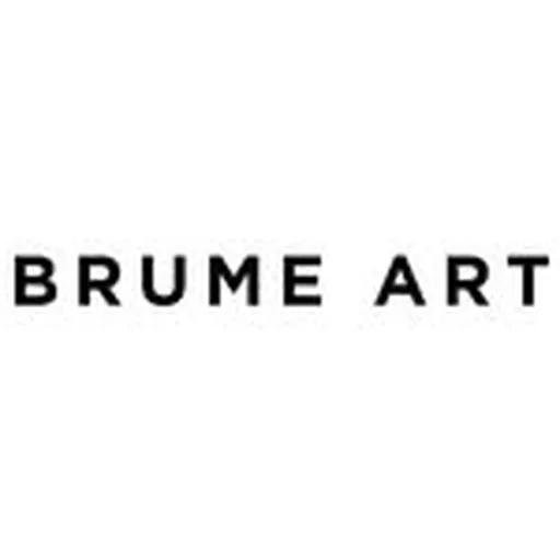 @brume_art_ profile image