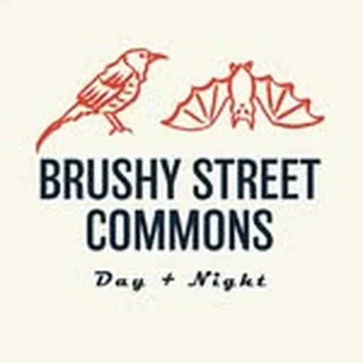 @brushystreet profile image