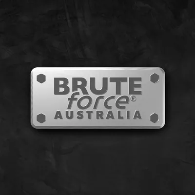 @bruteforce_au profile image