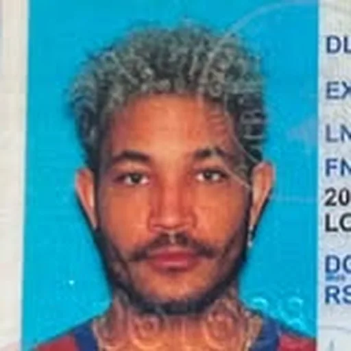 @brycevine profile image
