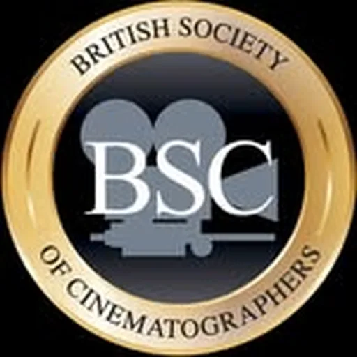 @bscine profile image