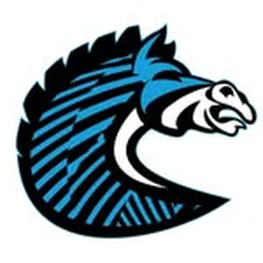 @bscompetition profile image