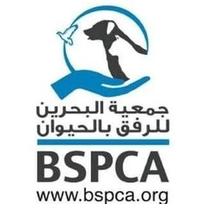 @bspca profile image