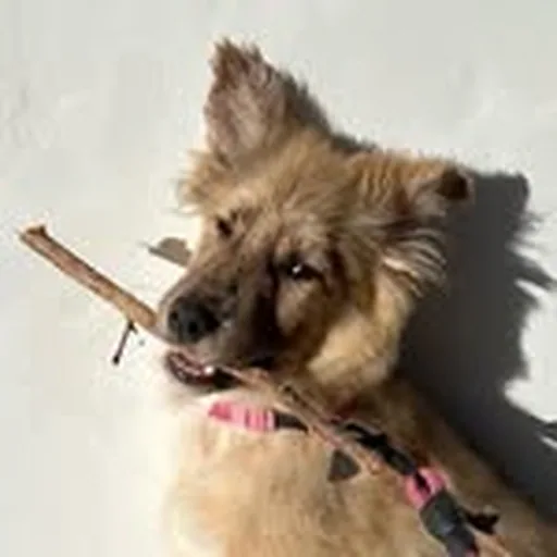 @bucket.biz profile image