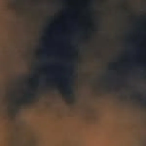 @budamonkfonk profile image