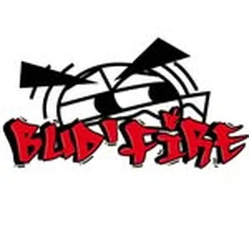 @budfire.on profile image