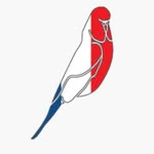 @budgysmugglerfrance profile image