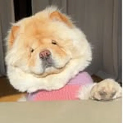 @buffybearington profile image