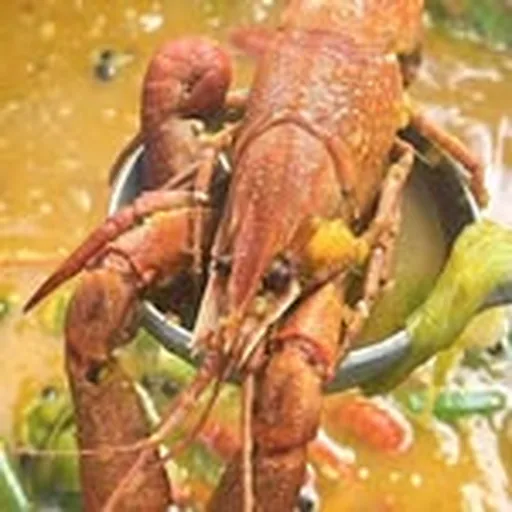 @bulbiesoups profile image