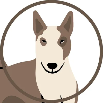@bullterrierlovershere profile image