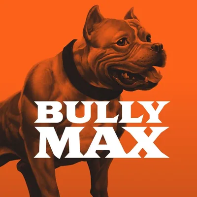 @bullymax profile image