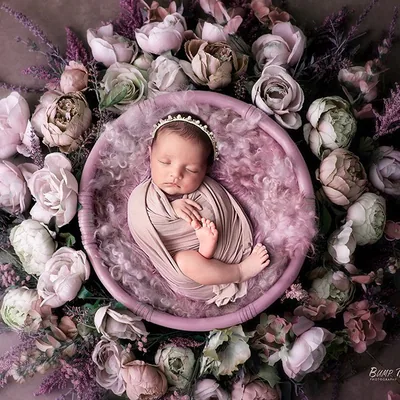 @bump_to_baby_photography profile image