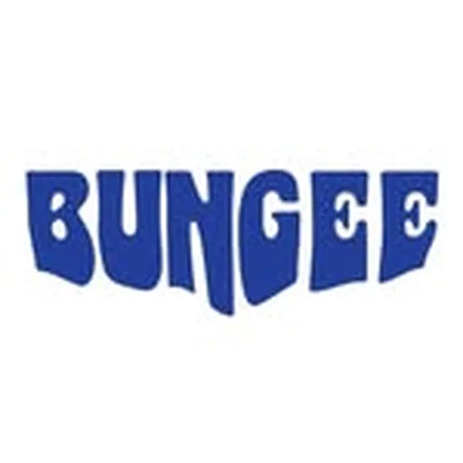 @bungee.fm profile image