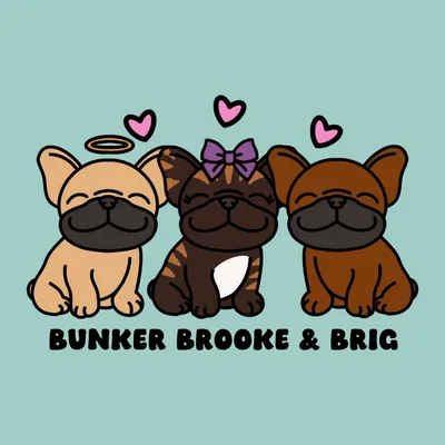 @bunksbsquad profile image