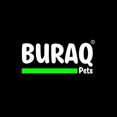 @buraqpets profile image