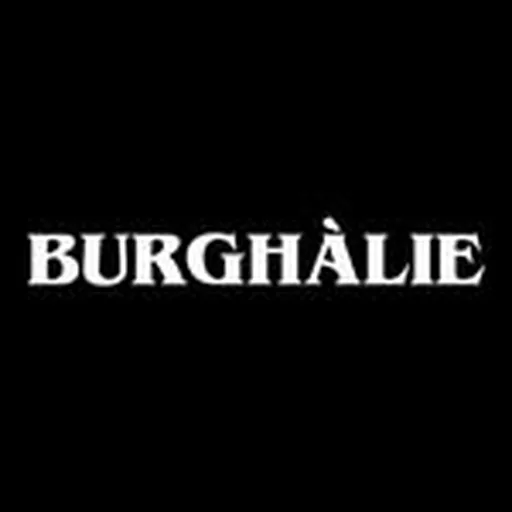 @burghalie profile image