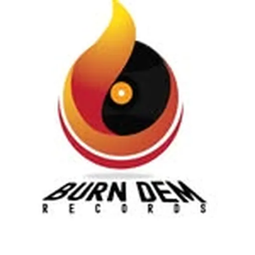 @burndemrecords profile image