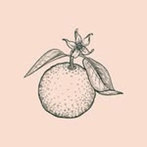 @burntorangeuk profile image