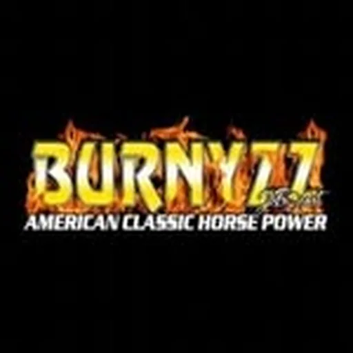 @burnyzz profile image