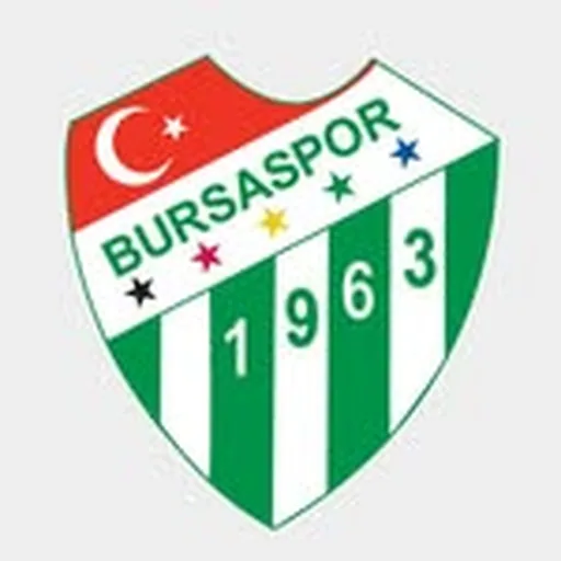 @bursaspor profile image