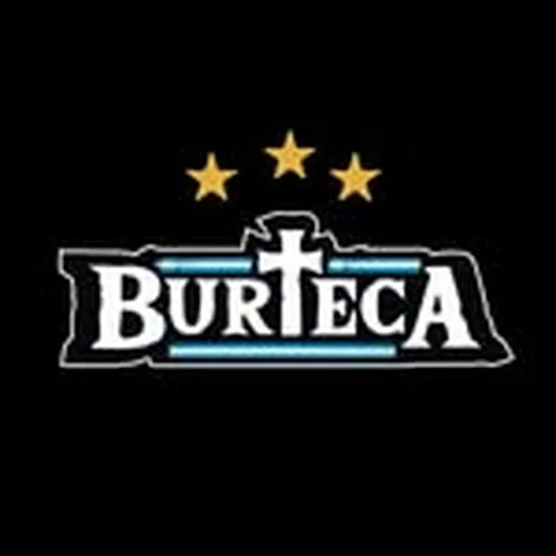 @burteca_ profile image