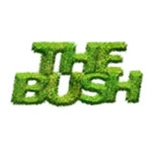 @bushdykebar profile image