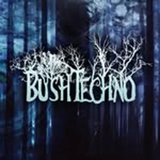 @bushtechno profile image