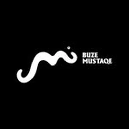 @buze_mustaqe profile image