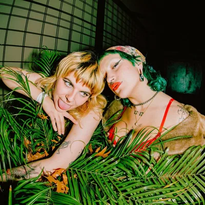 @buzzedlightbeerband profile image