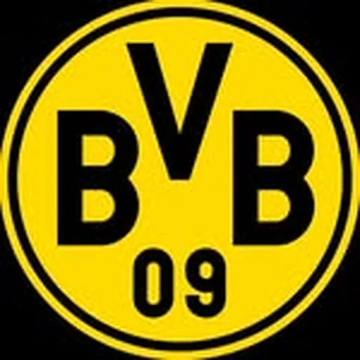 @bvb09gaming profile image