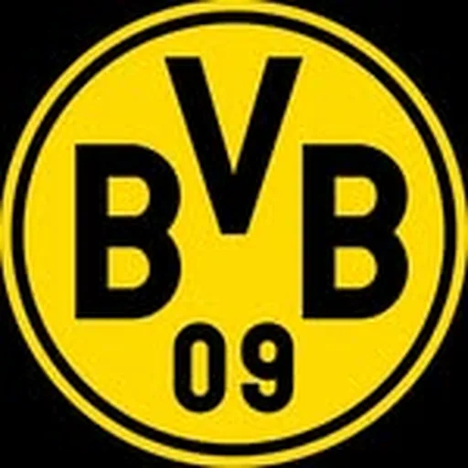 @bvb09nachwuchs profile image