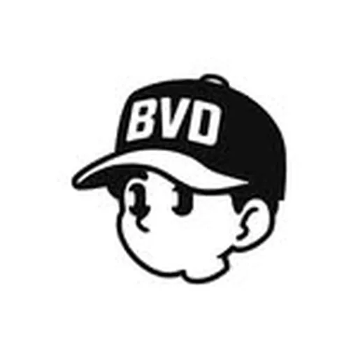 @bvdboston profile image