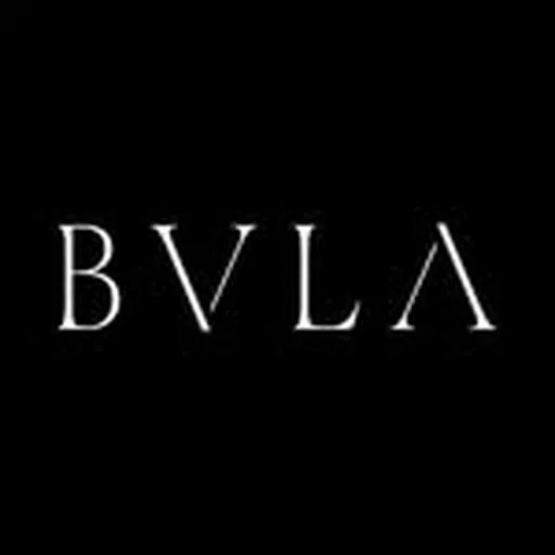 @bvla profile image