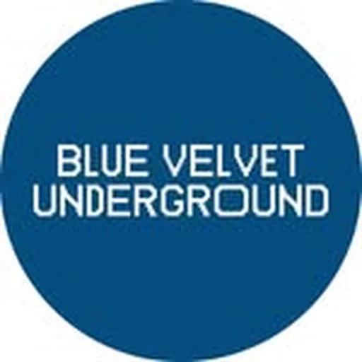 @bvu_gallery profile image