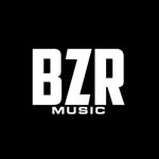 @bzrmusiccl profile image