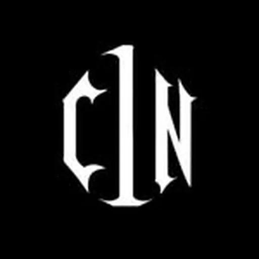 @c1n profile image